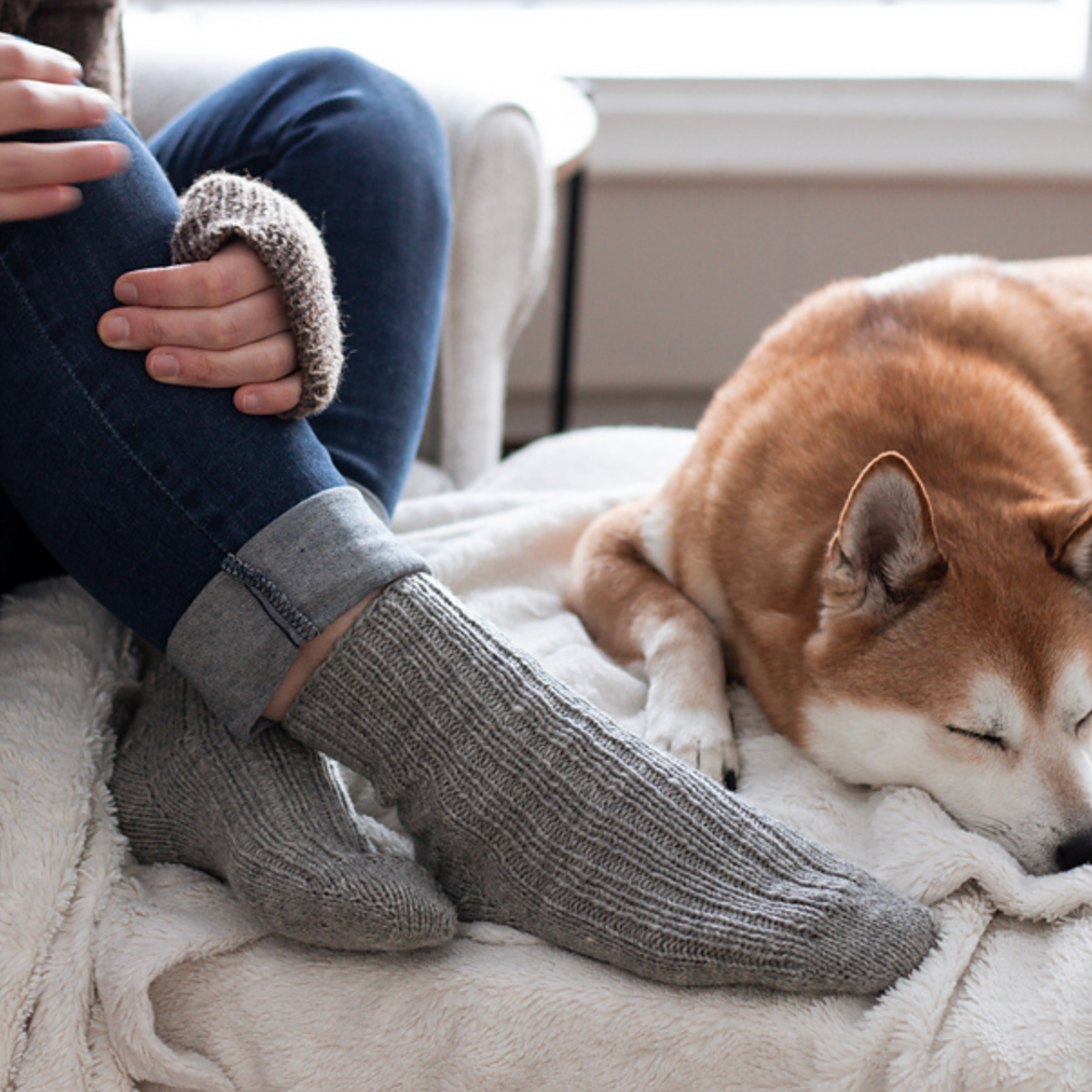Person wearing gray socks with a dog lying on a bed